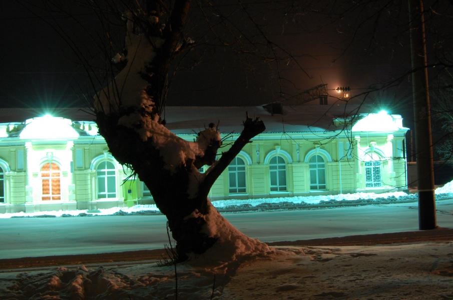 НІЧ - Долинская