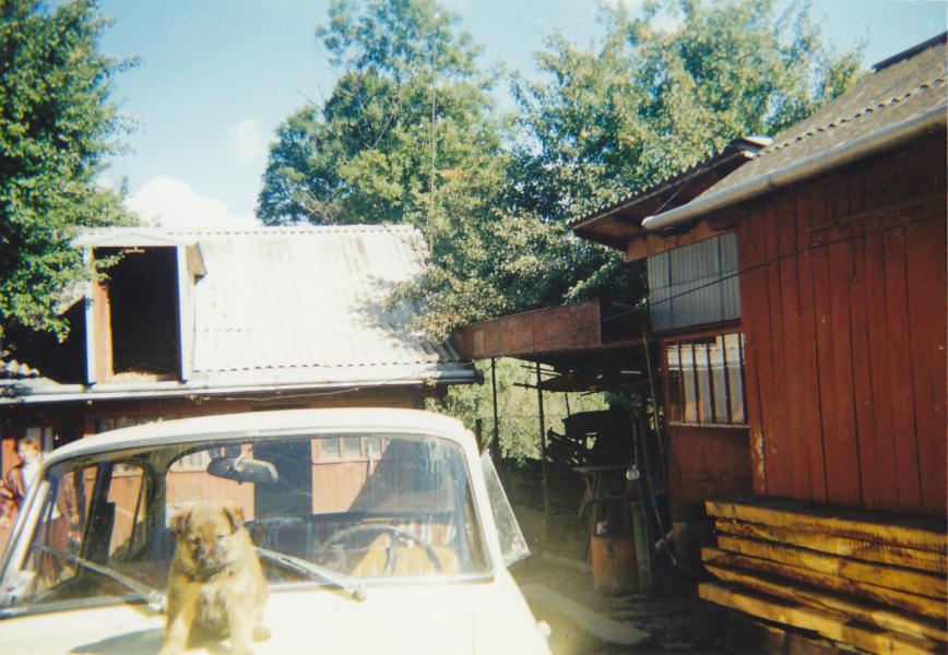 Мої рідні простори - Дубівці