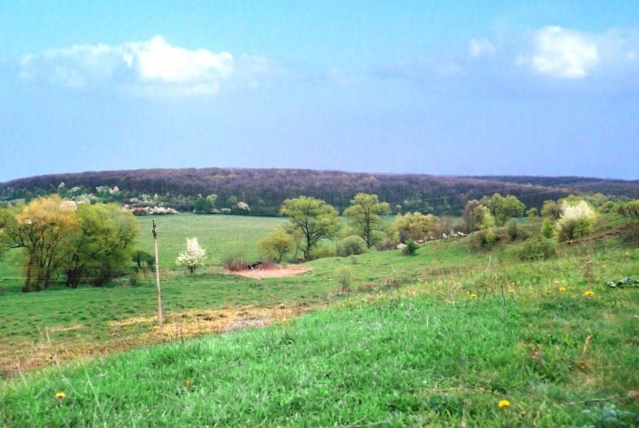 альбом - Тетлега