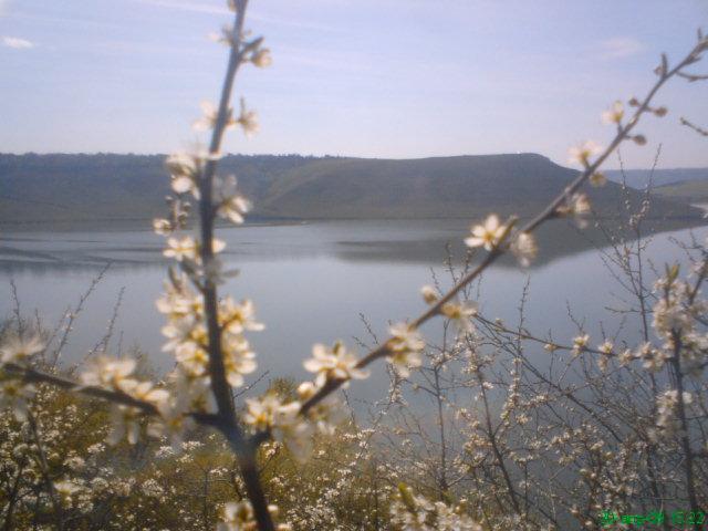 Природа - Стара Ушиця