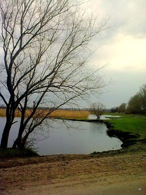Рідне село - Войниха