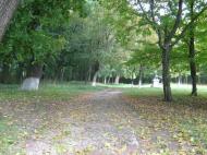 Парк села Деребчин