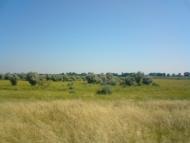 Природа села