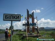 Білки - Останні фото