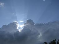 Наша природа