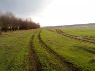 Новоіванківка - Останні фото