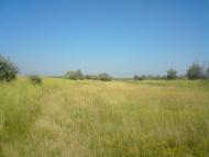 Природа села