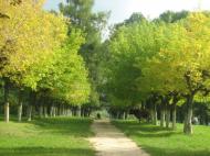 Парк села Деребчин