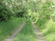 Краєвиди та життя Нової Басані