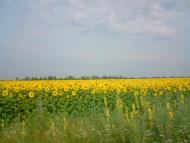 Природа села