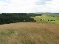 Моя Батьківщина