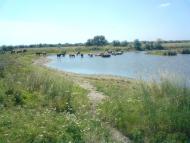 Природа села