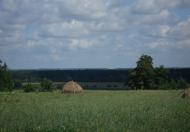 Мій рідний край, моє дитинство!....