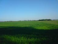 Природа села