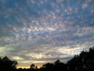 Стахорщина - Останні фото