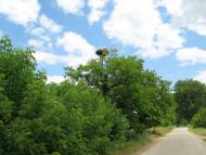 Моя Батьківщина