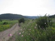 Так було 2005 р.