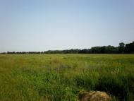 Наша природа