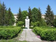 Родное село