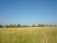 Природа села