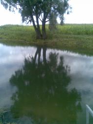 Velyka Zagorivka - Latest photos