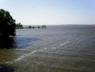 Наша природа