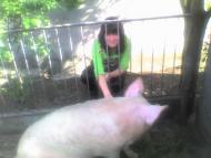 Я і моє село