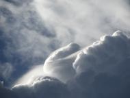 Наша природа