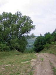 Так було 2005 р.