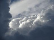 Наша природа