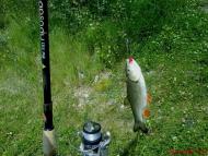 Наша природа