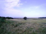 Чорбівські краєвиди