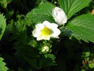 Моя Батьківщина