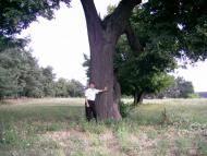 Чорбівські краєвиди