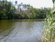 Наша природа