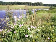 Чорбівські краєвиди