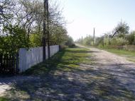 Польське село в Поліссі