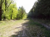 Польське село в Поліссі