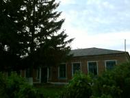 Стахорщина - Останні фото