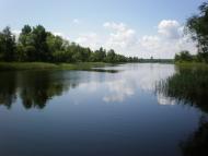 Наша природа