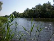 Наша природа