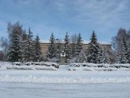 Родное село