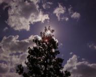 Мальовниче Березове