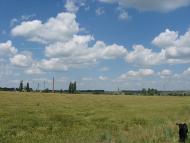 Родное село