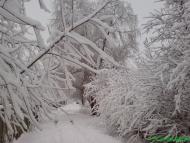 Краєвиди Миргорода