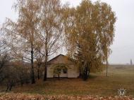 Родное село