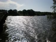 Наша природа