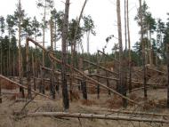 Наша природа