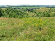 Моя Батьківщина