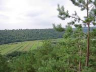 Худіївці - Останні фото